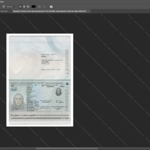 Lebanon Passport Psd Template version 2 - customizable identity template view