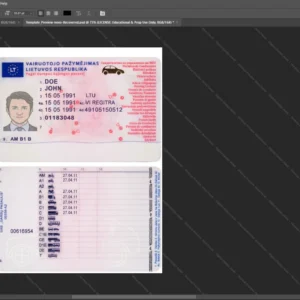 Lithuania Driver License Psd Template version 2 - high quality preview for designers