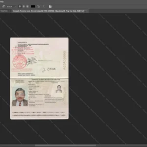 Madagascar Passport Psd Template version 1 - digital restoration project file
