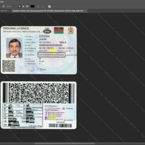 Malawi Driver License Psd Template version 1 - vector based ui elements
