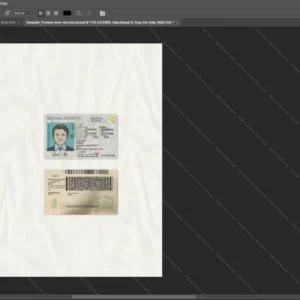 Massachusetts Driver License Psd Template version 2 - vector based ui elements