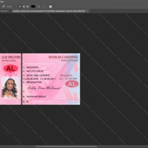 Albania Driver License Psd Template version 2 - blank template for editing data