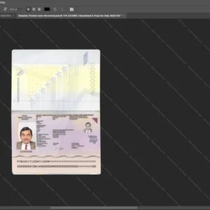 Bosnia And Herzegovina Passport Psd Template version 1 - official style layout concept