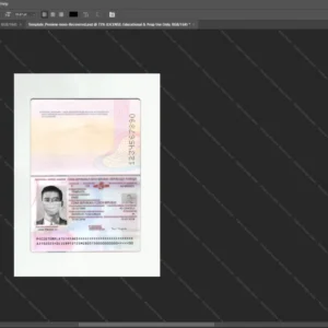 Czech Passport Psd Template version 1 - cinematic prop for movie production