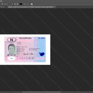 Iceland Driver License Psd Template version 1 - high quality preview for designers