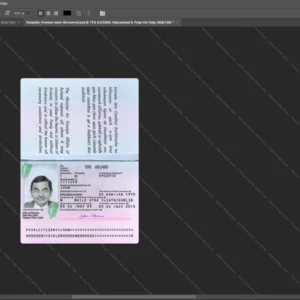 Ireland Passport Psd Template version 2 - sample view of editable text fields
