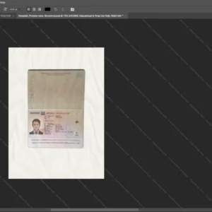 Singapore Passport Psd Template version 1 (2006-2017) - detailed close-up of paper texture