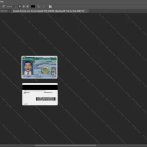Usa Vermont Driver License Psd Template version 1 - professional graphic design asset