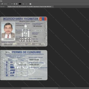 Mongolia Driver License Psd Template version 1 - customizable identity template view