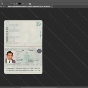 Morocco Passport Psd Template version 1 - sample view of editable text fields