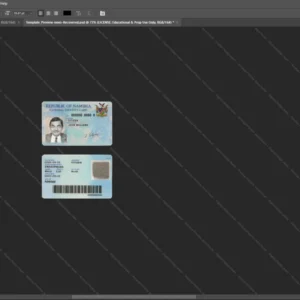 Namibia Id Card Psd Template version 1 - professional graphic design asset