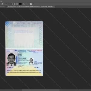 Netherlands Passport Psd Template version 1 (2014-present) - blank template for editing data