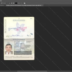 Nicaragua Passport Psd Template version 1 - vector based ui elements