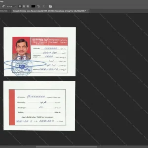 Libya Driver License Psd Template version 1 - digital restoration project file
