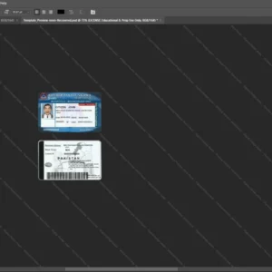 Pakistan Driver License Psd Template version 1 - blank template for editing data