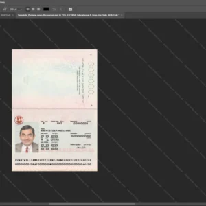 Qatar Passport Psd Template version 1 - layered smart object structure