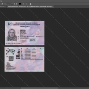 Switzerland Driver License Psd Template version 2 - customizable identity template view
