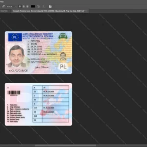 Poland Driver License Psd Template version 2 (2022-present) - high quality preview for designers