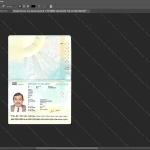 Belarus Passport Psd Template version 2 (2020-present) - vector based ui elements