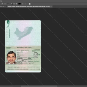 Peru Passport Psd Template version 1 - sample view of editable text fields