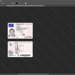 Sweden Driver License Psd Template version 1 (2009-2016) - detailed close-up of paper texture