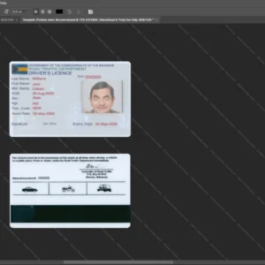 Bahamas Driver License Psd Template version 1 - detailed close-up of paper texture