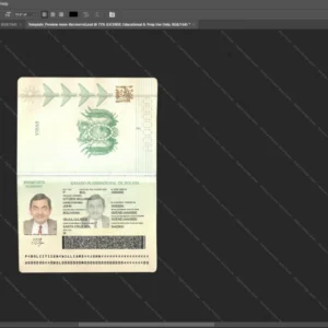 Bolivia Passport Psd Template version 1 - layered smart object structure