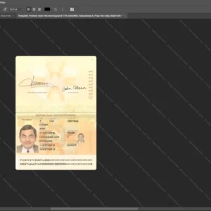 Central Africa Passport Psd Template version 1 (2023-present) - detailed close-up of paper texture