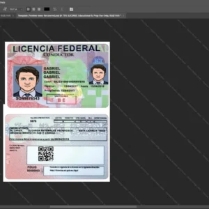 Mexico Driver License Psd Template version 1 - customizable identity template view