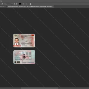 Belarus Driver License Psd Template version 1 - customizable identity template view