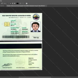 Nigeria Id Card Psd Template version 1 - official style layout concept