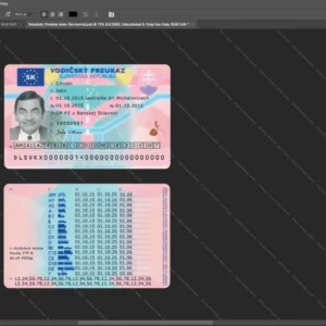 Slovakia Driver License Psd Template version 1 - cinematic prop for movie production