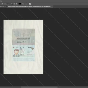 South Korea Passport Psd Template version 1 - vector based ui elements