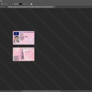 Spain Driver License Psd Template version 3 - customizable identity template view