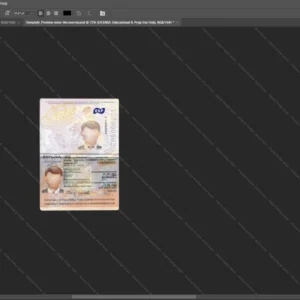Spain Passport Psd Template version 2 (2015-present) - detailed close-up of paper texture