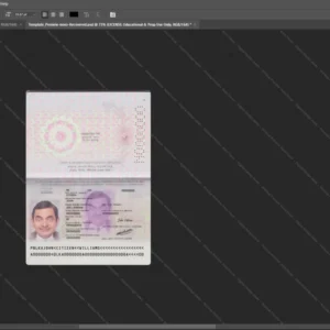 Sri Lanka Passport Psd Template version 2 - professional graphic design asset