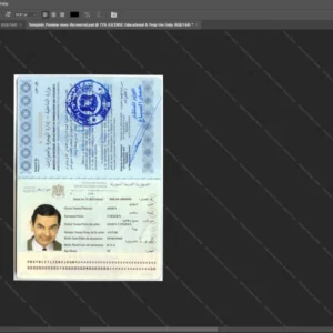 Syria Passport Psd Template version 1 - professional graphic design asset