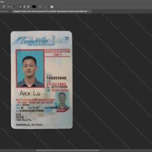 Tennessee Driver License Psd Template version 2 (Under 21) - printable document prop template