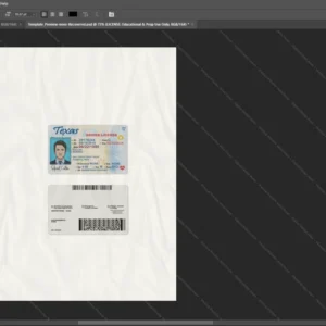 Texas Driver License Psd Template version 2 - sample view of editable text fields