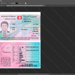 Tunisia Driver License Psd Template version 1 - graphic resource for digital artists