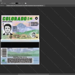 Usa Colorado Driver License Psd Template version 2 - high quality preview for designers