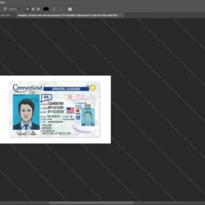 Usa Connecticut Driver License Psd Template version 2 - official style layout concept