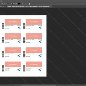 Usa Delaware Driver License Psd Template version 1 - sample view of editable text fields