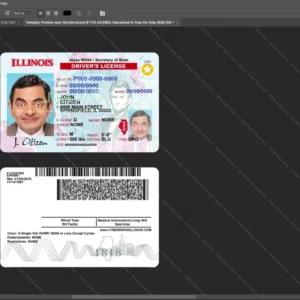 Usa Illinois Driver License Psd Template version 1 - professional graphic design asset
