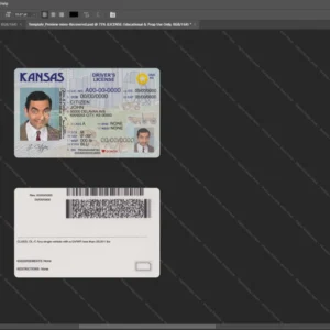 Usa Kansas Driver License Psd Template version 1 - official style layout concept
