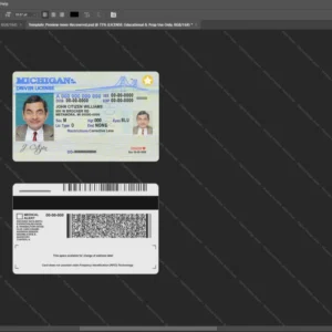 Usa Michigan Driver License Psd Template version 1 - vector based ui elements