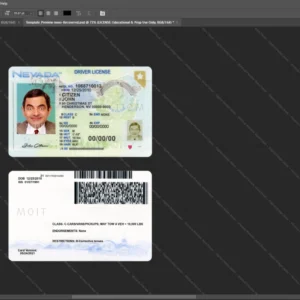Usa Nevada Driver License Psd Template version 2 (2021-present) - graphic resource for digital artists