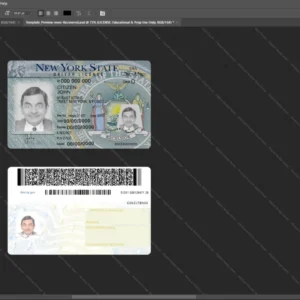 Usa New York Driver License Psd Template version 2 (photolook) - layered smart object structure