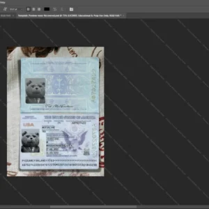 Usa Passport Psd Template version 2 (2023-present) - blank template for editing data