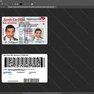Usa South Carolina Driver License Psd Template version 1 - blank template for editing data